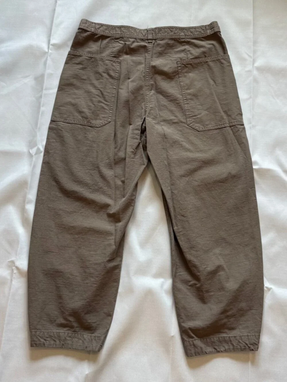 Everlane The Fatigue Barrel Pant